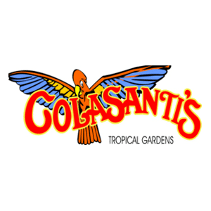 Colasanti Tropical Gardens Colour